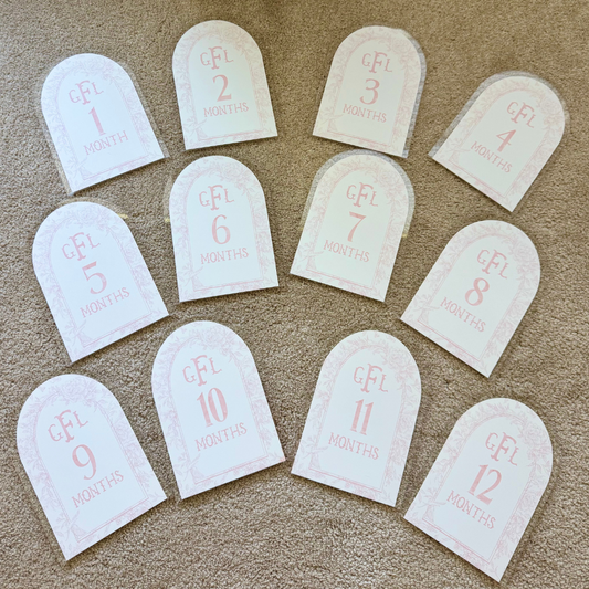 12 Monthly Milestone Signs - custom