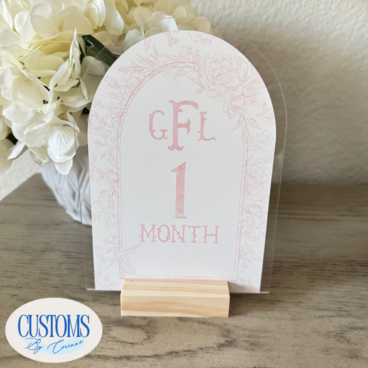 12 Monthly Milestone Signs - custom